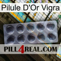 Vigra Gold Pill 30